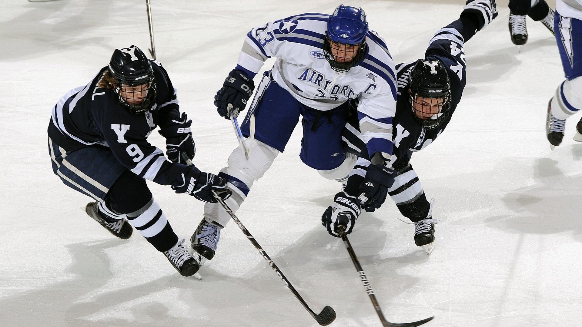 《掘金球迷期待球队在休赛期进行积极操作》，掘金队球员名单最新